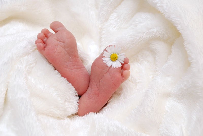A baby's feet wrapped in a blanket with a flower between their toes